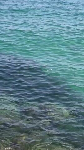The video shows a close-up view of clear blue ocean water near the shore. Rocks are visible at the bottom of the frame, with small waves lapping against them. The water is transparent enough to see the rocky seabed beneath. The scene transitions to a wider view, revealing a rocky coastline and a pier or breakwater in the distance under a clear blue sky.