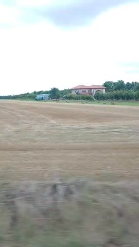 The video shows a blurry, panning shot of a rural landscape. The foreground is filled with a dry, harvested field of wheat or similar grain, with stubble and loose stalks visible. In the middle ground, a vast, flat field stretches towards a line of trees in the distance. Beyond the trees, several buildings are visible: a large, light-colored, possibly agricultural building or barn on the left, and a multi-story, red-tiled roof house on the right. A few more scattered trees dot the landscape. The sky is overcast with heavy, grey clouds. The camera appears to be moving, possibly from a vehicle, as indicated by the motion blur and the slight shake of the footage. No people or animals are clearly visible. The overall impression is one of an agricultural area under a cloudy sky.