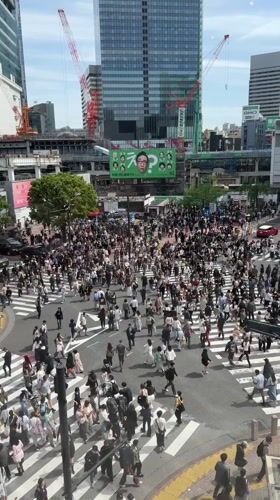 Early morning pedestrian activity recorded at Shibuya intersection