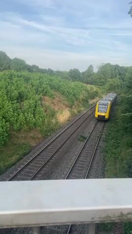 A yellow and gray train travels on double train tracks through a lush green landscape. The train is the primary object in the scene, moving away from the camera. The tracks curve to the right, disappearing into the dense foliage on either side. The surrounding area is heavily wooded with trees and bushes. A clear blue sky with wispy white clouds forms the backdrop. A metal railing is visible in the foreground, suggesting the vantage point is from a bridge or elevated walkway. The lighting indicates it is daytime, likely late afternoon or early evening due to the soft light and slightly diffused clouds. There is no visible text on the train or in the surrounding environment. The overall impression is one of a peaceful journey through a natural setting.