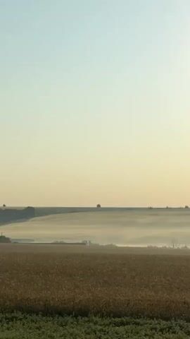 A vast, open field is shown with a gentle incline in the background. The foreground consists of dense vegetation, possibly crops, transitioning into a field of golden-brown plants. In the middle ground, a thin layer of mist hugs the land, creating a soft, hazy effect. Beyond the mist, rolling hills are visible, their contours softened by the atmospheric conditions. A narrow, winding path or road can be seen disappearing into the mist. The sky above is a pale blue, transitioning to a light yellow hue near the horizon, suggesting either sunrise or sunset. A bright, orb-like object, presumably the sun, is visible in the upper right quadrant of the frame, casting a soft glow over the landscape. The overall impression is one of tranquility and natural beauty, with the mist adding a sense of depth and mystery.