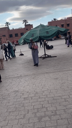 Street performer with costumed monkey draws crowds in Marrakesh