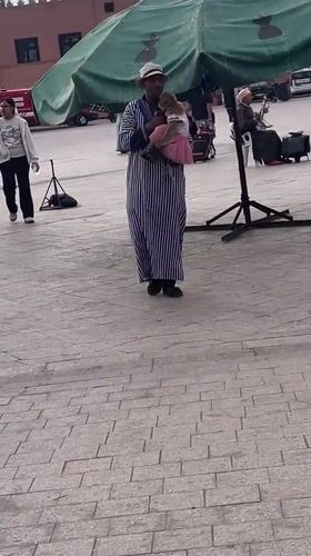 Street performer with costumed monkey draws crowds in Marrakesh