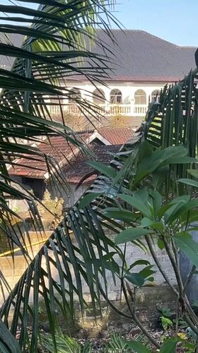 Residential view captured through palm trees in Ubud