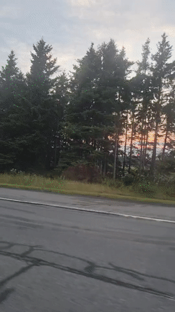 Burned-out SUV towed down highway near Saint-Pascal