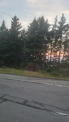 A tow truck carries a burned-out SUV down a highway. The SUV appears to be a dark color, possibly black or dark gray, with significant fire damage visible on its body. The tow truck is white and has "GARAGE DU BOIS" written on its side, along with other company logos. The truck is equipped with flashing amber lights and a green indicator light on the back. The scene takes place on a road with multiple lanes, bordered by a grassy median and a dense line of evergreen trees. The sky is overcast with hints of sunlight filtering through the clouds.