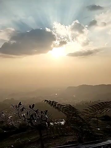 The video shows a time lapse of the sun setting behind clouds over a mountainous landscape. The sun is the brightest object in the sky, with rays of light beaming from behind the clouds. The landscape below is hazy and appears to be a valley with some buildings and trees. The foreground is filled with dark silhouettes of plants, possibly ferns and branches. The overall mood of the video is peaceful and serene.
