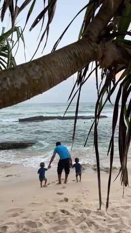 A man wearing a blue shirt and black shorts stands on a sandy beach, holding the hands of two young children. The children are facing away from the camera, towards the ocean. The man is also facing away from the camera, looking towards the ocean. The ocean waves are breaking on the shore. There are rocks in the ocean. A large tree branch with green leaves hangs over the scene from the top of the frame. The sky is overcast.