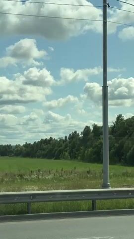 The video shows a view from inside a vehicle looking out of a window. The landscape outside is rural, with a green field, a line of trees in the distance, and a blue sky with fluffy white clouds. A tall utility pole with wires is prominent on the right side of the frame. A guardrail is visible between the road and the field, and a portion of the road is in the foreground. The perspective suggests the vehicle is moving, as the scene appears to be a typical roadside view from a moving car or bus. There are no people or specific actions clearly discernible within the frame. The overall impression is a serene, sunny day in the countryside.