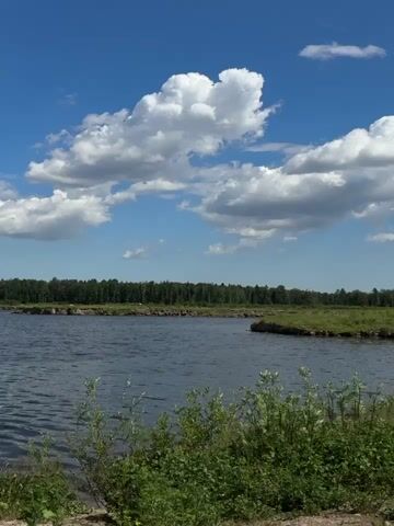The video shows a body of water with a forest in the background. The sky is blue with white clouds. There are green bushes in the foreground.