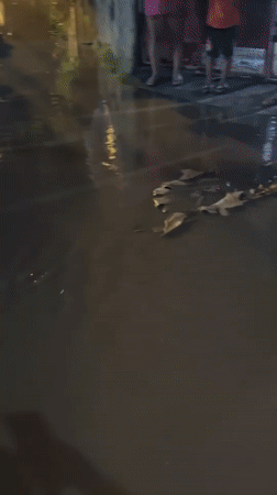 Nighttime flooding inundates Davao City residential neighborhoods