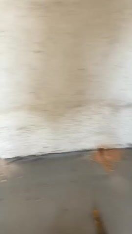The video shows the interior of a construction site. The camera moves from the floor, revealing walls, windows with views of trees, and a doorway. There is debris scattered across the floor. No people are visible in the video.