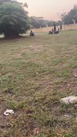 The video shows a grassy field with a few people in the background. One person is sitting alone near a tree on the left. Three other individuals appear to be engaged in some activity near the back center of the frame, with at least one standing. A light-colored fence is visible in the background. The foreground is mainly grass with patches of dirt. A small stick is present in the immediate foreground. The camera appears to be moving or held by someone walking across the field.