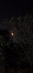 Nighttime observations recorded over two hours in rural Venezuela