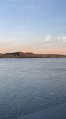 Riverside meal and bird feeding documented in Vidin