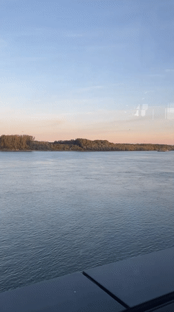 Riverside meal and bird feeding documented in Vidin