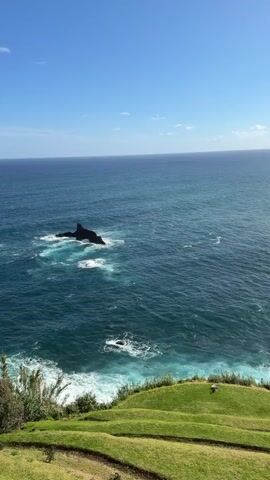 The video presents an elevated scenic view of the ocean. The deep blue water stretches out to the horizon under a clear, light-blue sky, with scattered small clouds.  Waves break around a large, dark rock formation near the coastline.  A grassy slope, structured with terraces, provides a green foreground element.  Vegetation is also visible along the slope's edge.