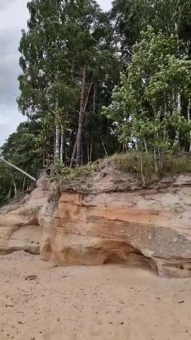 The video shows a sandy beach with a cliff face on the right side. Trees grow on top of the cliff, with some leaning precariously over the edge. The sky is cloudy. The camera pans slowly to the left, revealing the coastline stretching into the distance. The sand is light brown and appears to be wet in places. There is a single dark rock on the beach in the foreground. The cliff is made of layered sandstone, with visible erosion. The trees are a mix of deciduous and coniferous species. The overall mood is calm and natural.
