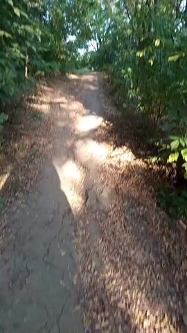 The video shows a path through a wooded area. The path is made of dirt and covered with fallen leaves. Trees with green foliage line both sides of the path, forming a canopy overhead. Sunlight filters through the leaves, casting shadows on the path. The camera appears to be moving forward along the path, suggesting a first-person perspective of someone walking or biking. The scene is natural and appears to be in a park or forest.