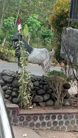 The video shows a statue of a goat in a natural outdoor setting. The goat statue is predominantly black and white, with a textured representation of its fur. It is positioned on a base constructed from dark, round stones. Behind the statue, there is lush green foliage and trees, with a glimpse of a red and white flag on a pole. The foreground includes a metal railing and a decorative border made of circular elements. The scene appears to be in a rural or semi-natural environment, possibly a garden or a roadside area. There are no people or animals visible in the video.