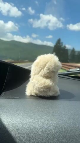 A fluffy, cream-colored stuffed animal is placed on a textured, gray dashboard inside a vehicle. The stuffed animal is the central focus of the shot. In the background, through the windshield, a blue sky with white clouds is visible. Rolling green hills and trees line the horizon. A road with guardrails runs through the landscape. The sun is shining, creating a bright, daytime scene. The overall impression is a static shot from within a moving vehicle, emphasizing the stuffed animal against a scenic backdrop.