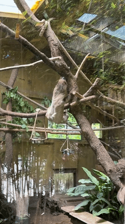 Visitor documents animals and dinosaur exhibits at Italian wildlife park