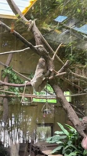 Visitor documents animals and dinosaur exhibits at Italian wildlife park