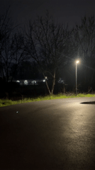 Nighttime streetlight illuminates wet path in Plovdiv