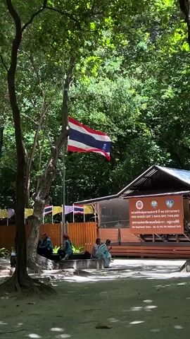 The video shows a Thai flag waving in the wind in front of a building with a sign that reads "PARK RANGER UNIT 5, DAIYA-SATI THAILAND, HAT NOPPHARAT THARA - MU KO PHI PHI NATIONAL PARK." Several people are sitting on a bench in front of the building, and a tree with exposed roots is visible on the left side of the frame. The environment appears to be a park or natural area with lush greenery in the background.