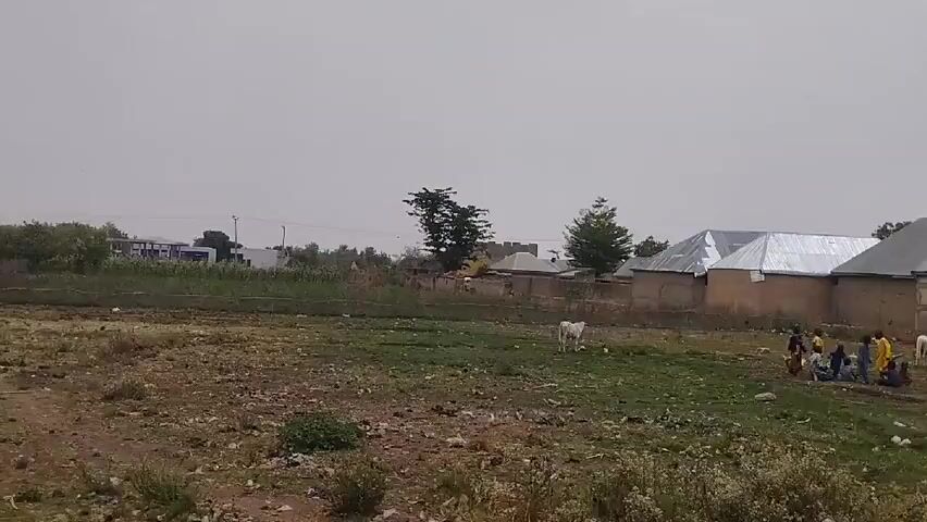 The video shows a rural or semi-rural landscape. The environment is characterized by dry, arid-looking earth interspersed with patches of green vegetation. There are scattered trees, including several palm trees. In the distance, there are buildings that appear to be homes, some with corrugated metal roofs. Some individuals appear to be congregating in the distance, and a few animals, possibly goats or sheep, are grazing. There is also a structure that might be a cellular tower in the background. The sky is overcast. The camera is in motion, suggesting it is being recorded from a moving vehicle. The sound of a vehicle engine is prominent.