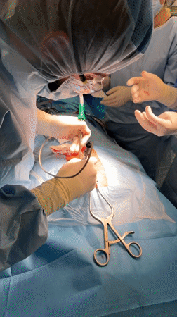 Surgical team at work in a Moscow operating room
