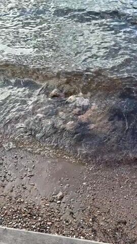 The video shows a calm body of water, likely a lake, with mountains in the background. The camera is positioned at the shoreline, capturing the gentle waves washing over the rocks and sand. The water is clear, and the sky is partly cloudy.