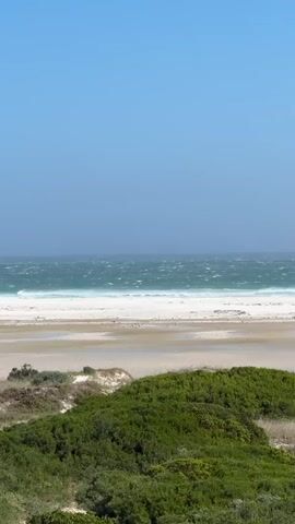 A wide shot captures a beach scene on a bright, clear day. The ocean is visible in the background, with a turquoise hue and white-capped waves suggesting a moderate wind. The beach itself is a mix of white sand and damp, light brown sand closer to the vegetation. In the foreground, lush green shrubbery dominates the lower half of the frame, with some patches of dry grass and a wooden fencepost visible on the right. The sky is a clear, pale blue, devoid of clouds. There are no people or animals visible in the frame.