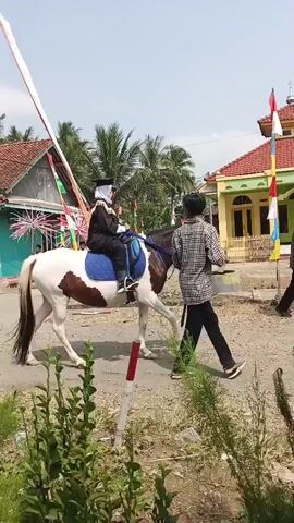 The video shows a procession on a dirt road with several people and horses. In the foreground, a brown and white horse is being led by a person on foot. The horse is wearing a blue saddle blanket. The person leading the horse is wearing a black shirt, dark pants, and sandals. Further back, another horse is being ridden by a person wearing a black outfit and a white head covering, possibly a graduation cap and gown. This horse is also adorned with decorations. There are several other people and horses in the background, some of whom appear to be walking in a line, dressed in traditional attire. The environment is rural, with houses and palm trees visible. Colorful flags and banners are displayed along the road, suggesting a festive occasion. The sky is clear and sunny.