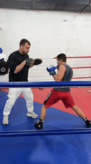 Boxing training and outdoor vegetation documented in Blagoevgrad