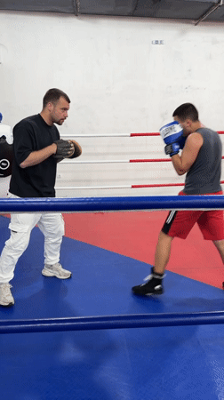 Boxing training and outdoor vegetation documented in Blagoevgrad