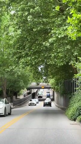 The video shows a two-lane road going under a bridge. On the road, there are several cars driving, including a green van. The road is lined with trees on both sides, and there is a concrete wall on the right side. The bridge has yellow signs attached to it, indicating a height limit. There are also a few people walking on the sidewalk to the left of the road.