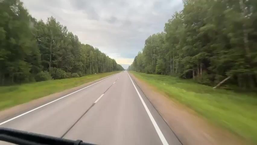 The video shows a view from a vehicle driving on a straight, paved road through a dense forest. The road has a white line marking the right edge and a dashed white line marking the center. The sky is overcast. Trees line both sides of the road, creating a tunnel effect. In the distance, there are a few other vehicles on the road, and a blue sign is visible on the right side. The trees appear to be birch and other deciduous types. The grass and undergrowth along the roadside are green and lush. The perspective suggests the video is recorded from the windshield of a moving vehicle. There are no people visible outside of the vehicles.