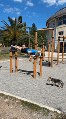 Morning workout session documented at Budva public exercise area