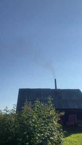 The video shows a close-up shot of a roof of a small wooden house. A chimney pipe stands on the roof and emits a plume of dark smoke into the clear blue sky. The roof is made of corrugated material and appears to be aged. In the foreground, there is a lush green bush with leaves and branches. The sun is shining, casting a bright light on the scene, suggesting it is daytime. The overall environment appears to be rural or a backyard setting. There are no people visible in the frame. The smoke from the chimney suggests that there might be a fire or heating system active within the house.