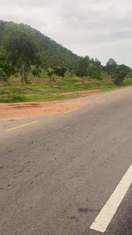 A motorcycle drives down a road in a rural area. The road is paved and has yellow and white lane markings. On the left side of the road, there is a grassy embankment with trees and a hill in the background. The sky is overcast. A person is riding the motorcycle.