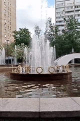 Birds gather at Moscow fountains during morning hours