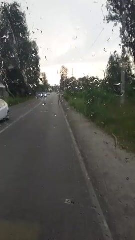 The video shows a view through a wet window, likely a car windshield, looking out onto a rural road. Raindrops are visible on the glass, distorting the view. The road is paved and appears to be a two-lane road with a white line marking the center. On the left side of the road, there are trees and a grassy verge. On the right side, there is a dense line of vegetation, possibly bushes or trees. Further down the road, there are a few vehicles, including what appears to be a silver car parked on the left side of the road and other cars in the distance. The sky is overcast with a soft, diffused light, suggesting it is either early morning or late evening. The overall scene is calm and somewhat melancholic due to the rainy weather.