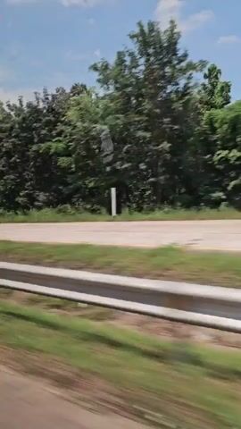 The video shows a view from a moving vehicle, likely a car, traveling along a road. The perspective is from the passenger side, looking out. The road is paved, with a white line dividing the lanes. To the right of the road, there is a guardrail, followed by a grassy shoulder and then a dense line of trees. The trees are lush and green, suggesting a warm climate. The sky above is blue with some scattered white clouds. The motion blur indicates the vehicle is moving at a moderate speed. In the first few frames, a yellow sign on a pole is visible near the road. The overall impression is of a scenic drive through a wooded area.