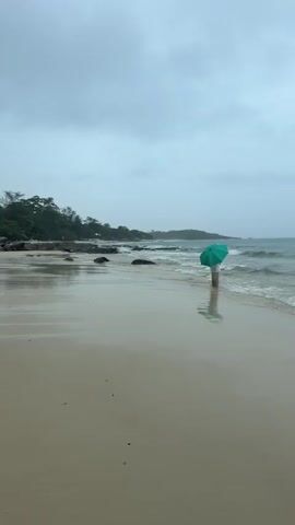 A person stands in shallow water at the edge of a beach, holding a green umbrella. The sky is overcast, and waves are gently breaking on the shore. The sand is wet and reflective, showing the person's silhouette and the umbrella. Trees and rocks are visible in the background on the left side of the frame. The water appears calm, with small waves reaching the person's legs. The person is facing away from the camera, looking out towards the ocean. The overall atmosphere is subdued, likely due to the cloudy weather.
