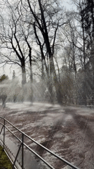 Spring day visitors enjoy fountains and sights at Peterhof Palace