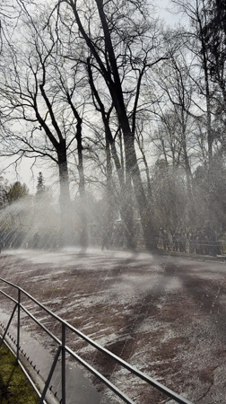 Spring day visitors enjoy fountains and sights at Peterhof Palace