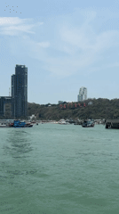 Morning boat trip captures Pattaya coastline views with feline passenger