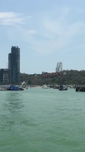 Morning boat trip captures Pattaya coastline views with feline passenger