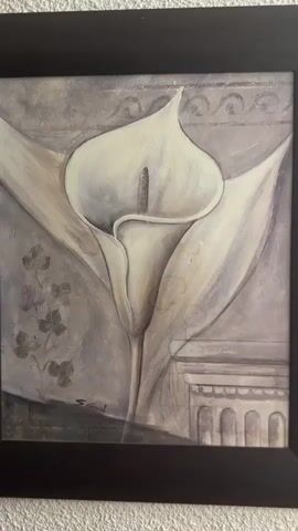 A framed painting of a white calla lily is shown. The painting has a monochromatic color scheme of grays and whites, with subtle hints of brown. The background features a decorative border at the top and a classical architectural element on the right side. A few clusters of leaves are visible in the lower left quadrant. The painting is signed in the lower left corner with what appears to be "S. Fruch." The painting is hanging on a textured off-white wall. The video is a static shot of the painting, with no visible movement or interaction.